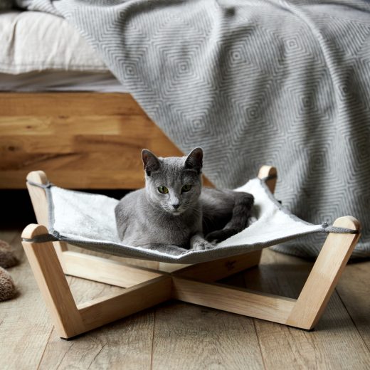 Cama